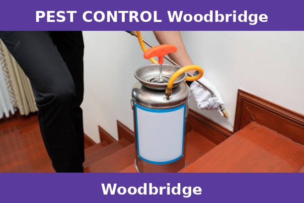 PEST CONTROL Woodbridge
